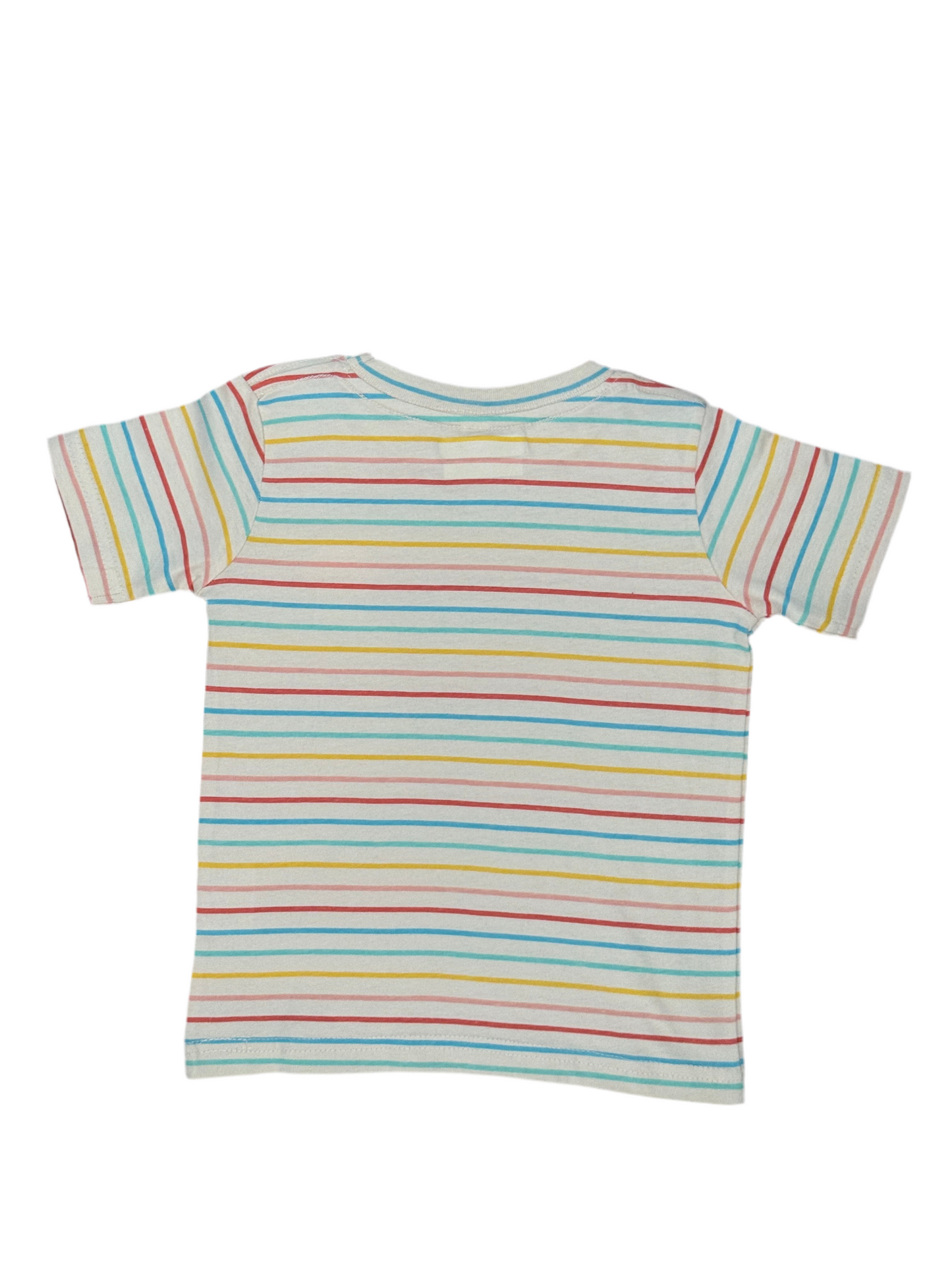 Lenny the Lemur Striped Boys T-Shirt