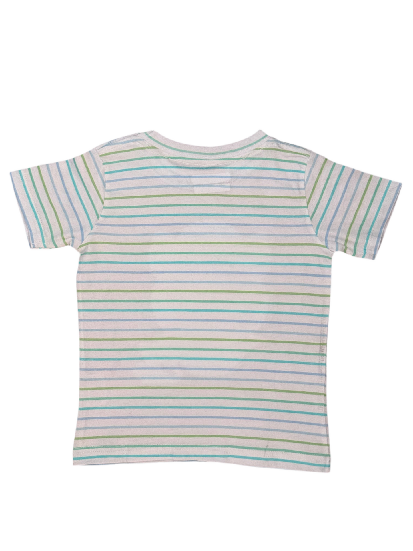 Princess Ella the Snow Leopard Girls Striped T-shirt