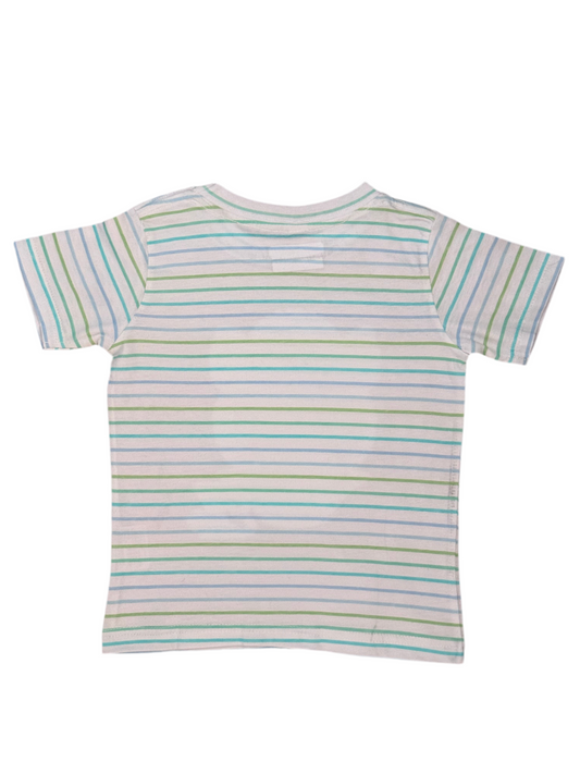 Princess Ella the Snow Leopard Girls Striped T-shirt