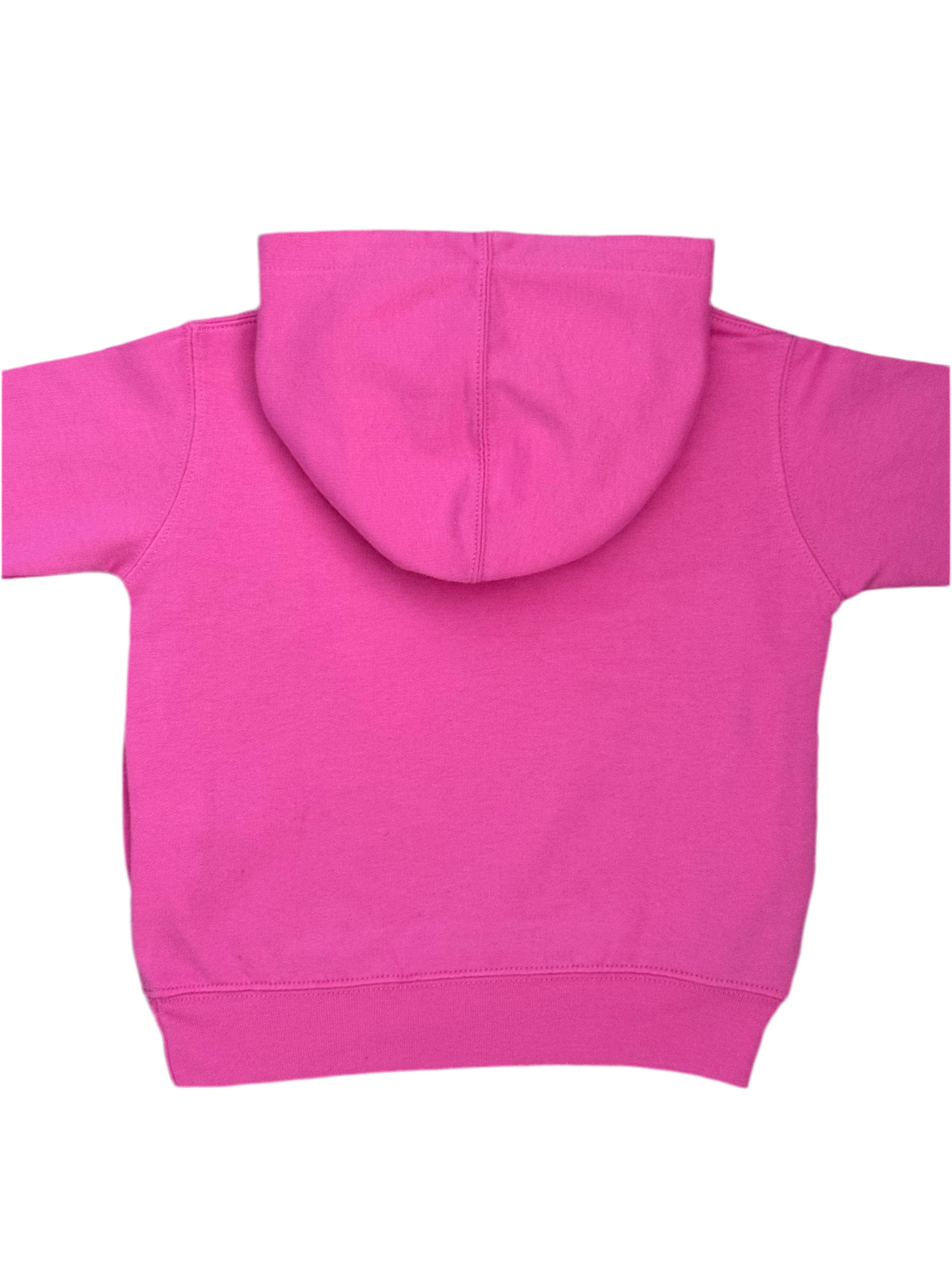 Lenny the Lemur Toddler Boys Hoodie