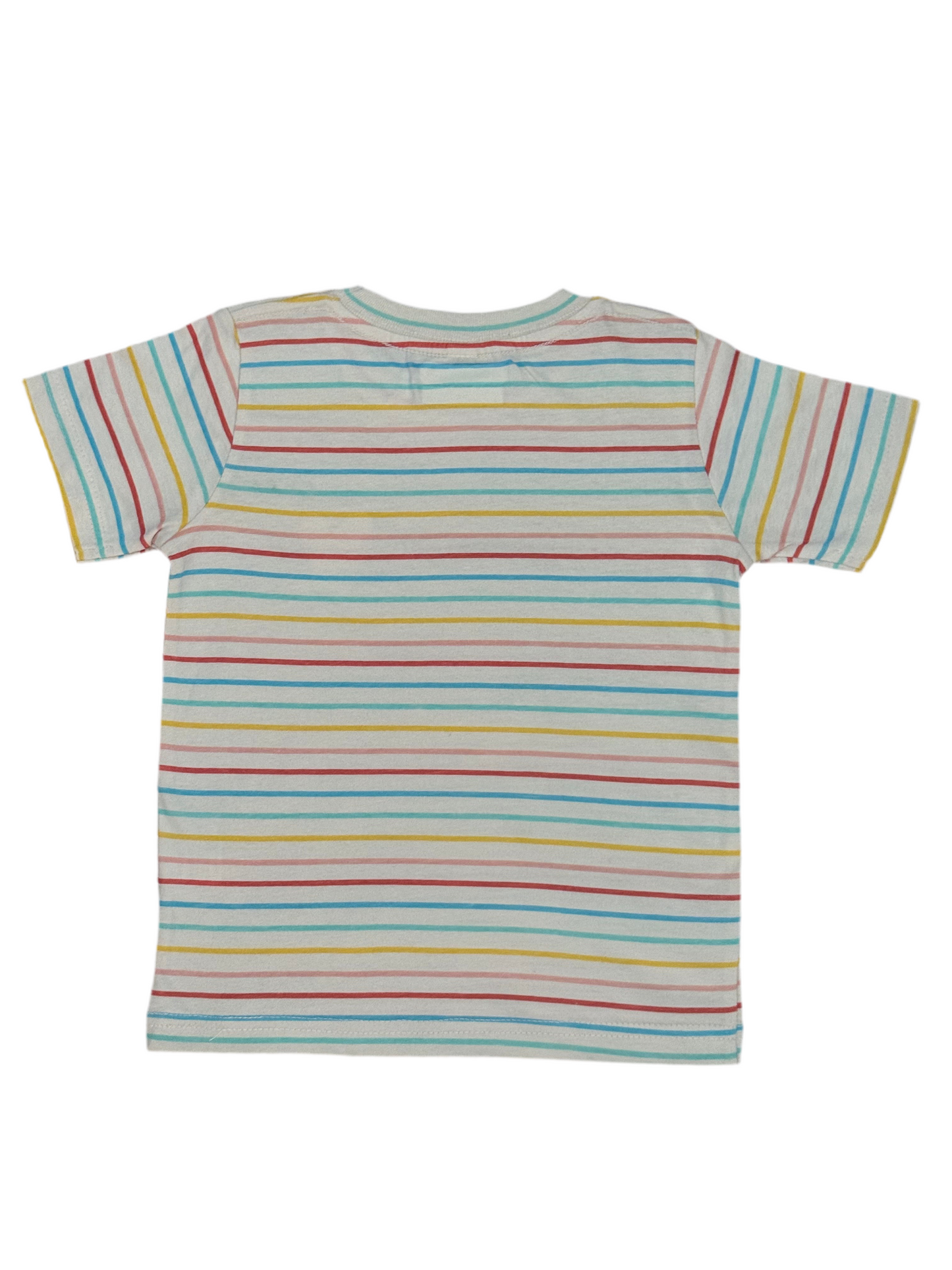 Ogbo the African Wild Dawg Boys Striped T-shirt